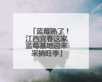 蓝莓熟了！江西宜春这家蓝莓基地迎来采摘旺季