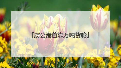 虞公港首靠万吨货轮