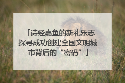 诗经嘉鱼的新礼乐志 探寻成功创建全国文明城市背后的“密码”