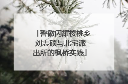 警徽闪耀樱桃乡 刘志硕与北宅派出所的枫桥实践