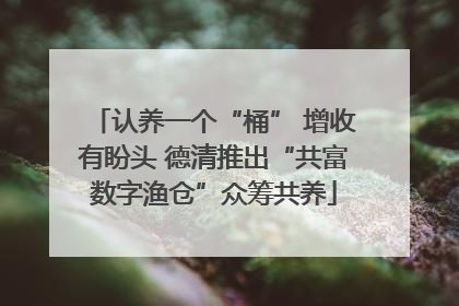 认养一个“桶” 增收有盼头 德清推出“共富数字渔仓”众筹共养