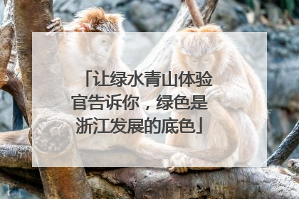 让绿水青山体验官告诉你，绿色是浙江发展的底色