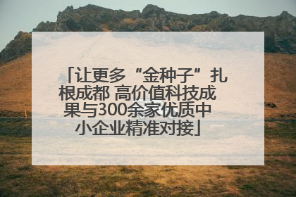 让更多“金种子”扎根成都 高价值科技成果与300余家优质中小企业精准对接