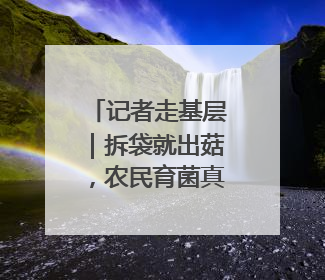 记者走基层｜拆袋就出菇，农民育菌真省事