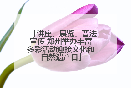 讲座、展览、普法宣传 郑州举办丰富多彩活动迎接文化和自然遗产日