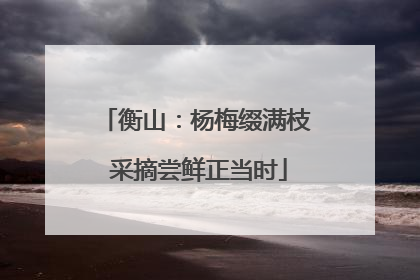 衡山：杨梅缀满枝 采摘尝鲜正当时