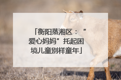 衡阳蒸湘区：“爱心妈妈”托起困境儿童别样童年