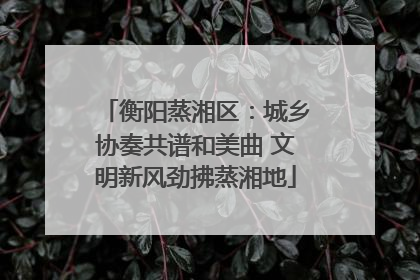 衡阳蒸湘区：城乡协奏共谱和美曲 文明新风劲拂蒸湘地