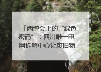 西博会上的“绿色密码”：四川唯一电网拆解中心让废旧物资“重生”｜西博寻“新”记