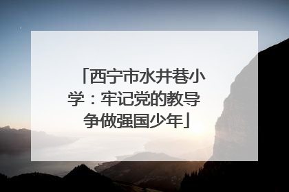 西宁市水井巷小学：牢记党的教导 争做强国少年