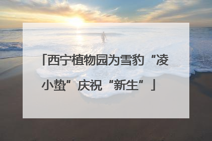 西宁植物园为雪豹“凌小蛰”庆祝“新生”