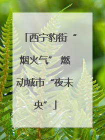 西宁豹街“烟火气” 燃动城市“夜未央”