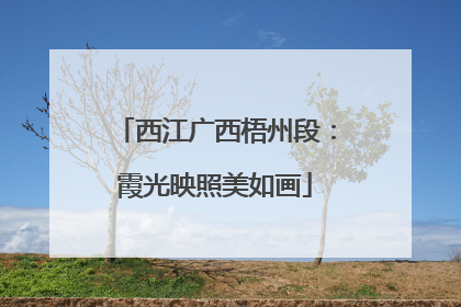 西江广西梧州段：霞光映照美如画