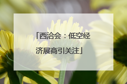 西洽会：低空经济展商引关注