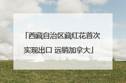 西藏自治区藏红花首次实现出口 远销加拿大
