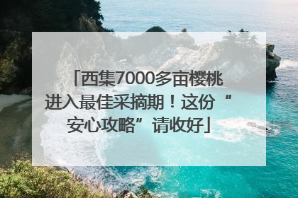 西集7000多亩樱桃进入最佳采摘期！这份“安心攻略”请收好