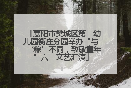 襄阳市樊城区第二幼儿园衡庄分园举办“与‘粽’不同，致敬童年”六一文艺汇演