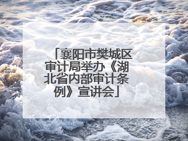 襄阳市樊城区审计局举办《湖北省内部审计条例》宣讲会