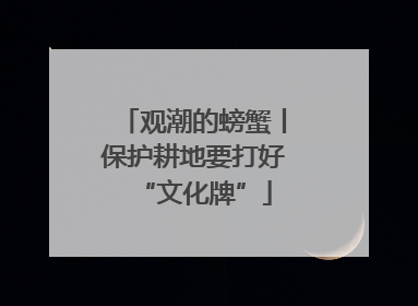 观潮的螃蟹丨保护耕地要打好“文化牌”
