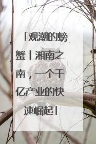 观潮的螃蟹丨湘南之南，一个千亿产业的快速崛起
