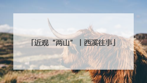 近观“两山”丨西溪往事