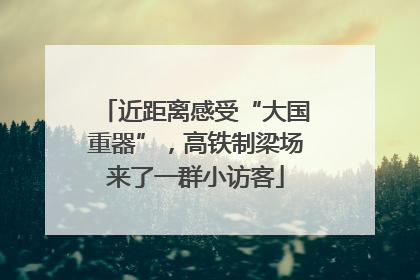 近距离感受“大国重器”，高铁制梁场来了一群小访客