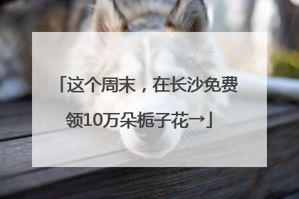 这个周末，在长沙免费领10万朵栀子花→