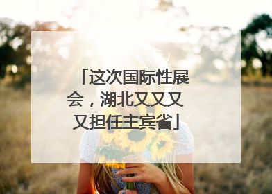 这次国际性展会，湖北又又又又担任主宾省