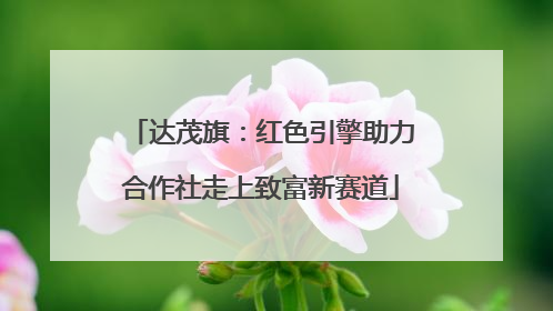 达茂旗：红色引擎助力合作社走上致富新赛道