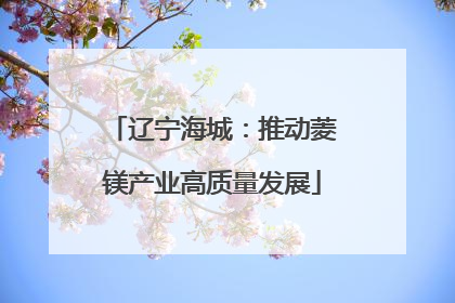 辽宁海城：推动菱镁产业高质量发展