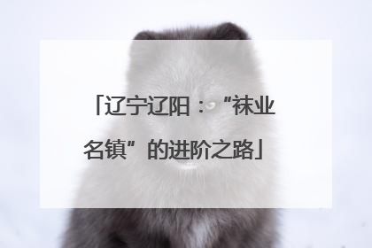辽宁辽阳：“袜业名镇”的进阶之路