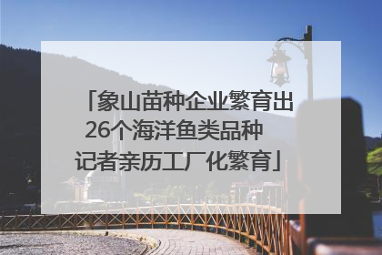 象山苗种企业繁育出26个海洋鱼类品种 记者亲历工厂化繁育
