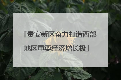 贵安新区奋力打造西部地区重要经济增长极