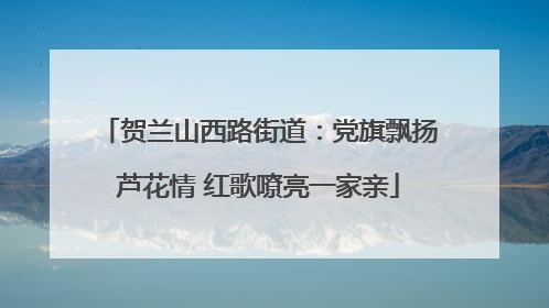 贺兰山西路街道：党旗飘扬芦花情 红歌嘹亮一家亲