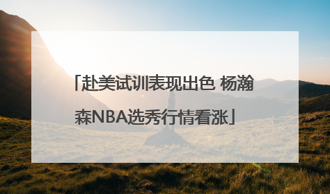 赴美试训表现出色 杨瀚森NBA选秀行情看涨