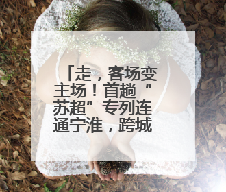 走，客场变主场！首趟“苏超”专列连通宁淮，跨城追球成长三角人新日常