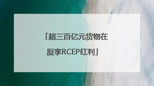 超三百亿元货物在厦享RCEP红利