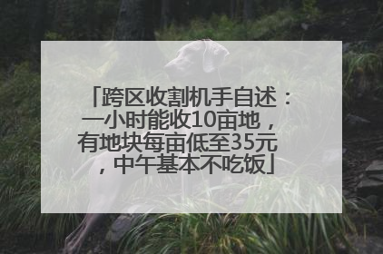 跨区收割机手自述：一小时能收10亩地，有地块每亩低至35元，中午基本不吃饭