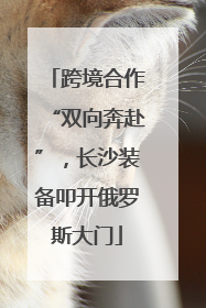 跨境合作“双向奔赴”，长沙装备叩开俄罗斯大门