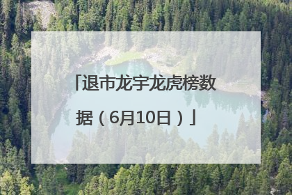退市龙宇龙虎榜数据（6月10日）