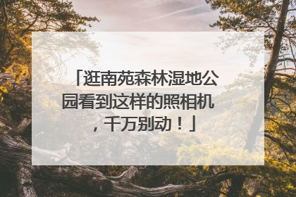 逛南苑森林湿地公园看到这样的照相机，千万别动！