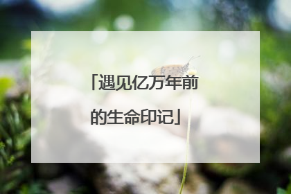 遇见亿万年前的生命印记
