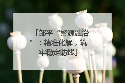 邹平“警源融治”：精准化解，筑牢稳定防线