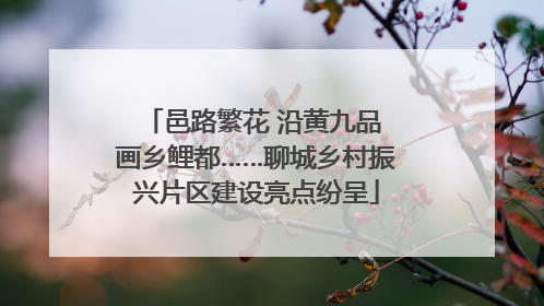 邑路繁花 沿黄九品 画乡鲤都……聊城乡村振兴片区建设亮点纷呈