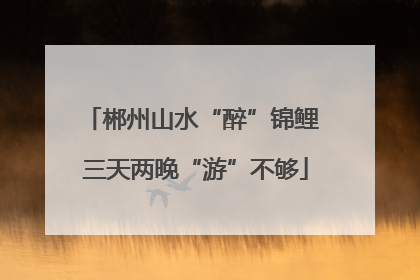 郴州山水“醉”锦鲤 三天两晚“游”不够