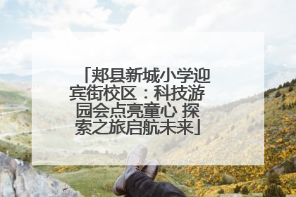 郏县新城小学迎宾街校区：科技游园会点亮童心 探索之旅启航未来