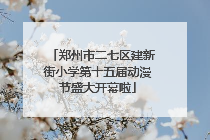 郑州市二七区建新街小学第十五届动漫节盛大开幕啦