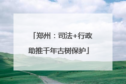 郑州：司法+行政助推千年古树保护