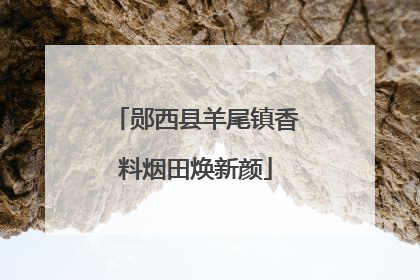 郧西县羊尾镇香料烟田焕新颜