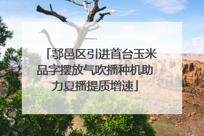 鄠邑区引进首台玉米品字摆放气吹播种机助力夏播提质增速